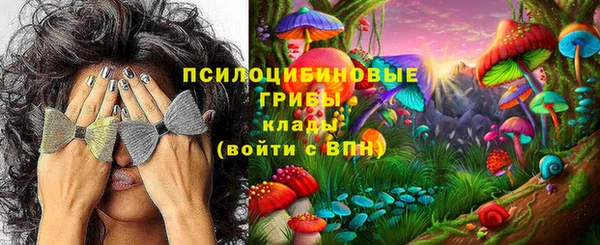 jwh Аркадак
