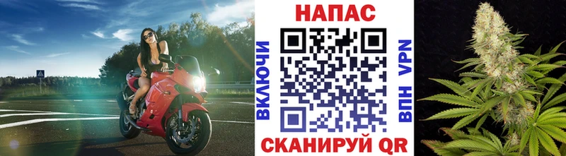 omg онион  как найти закладки  Суровикино  Бошки марихуана Amnesia 